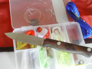 IMAG0621.JPG
