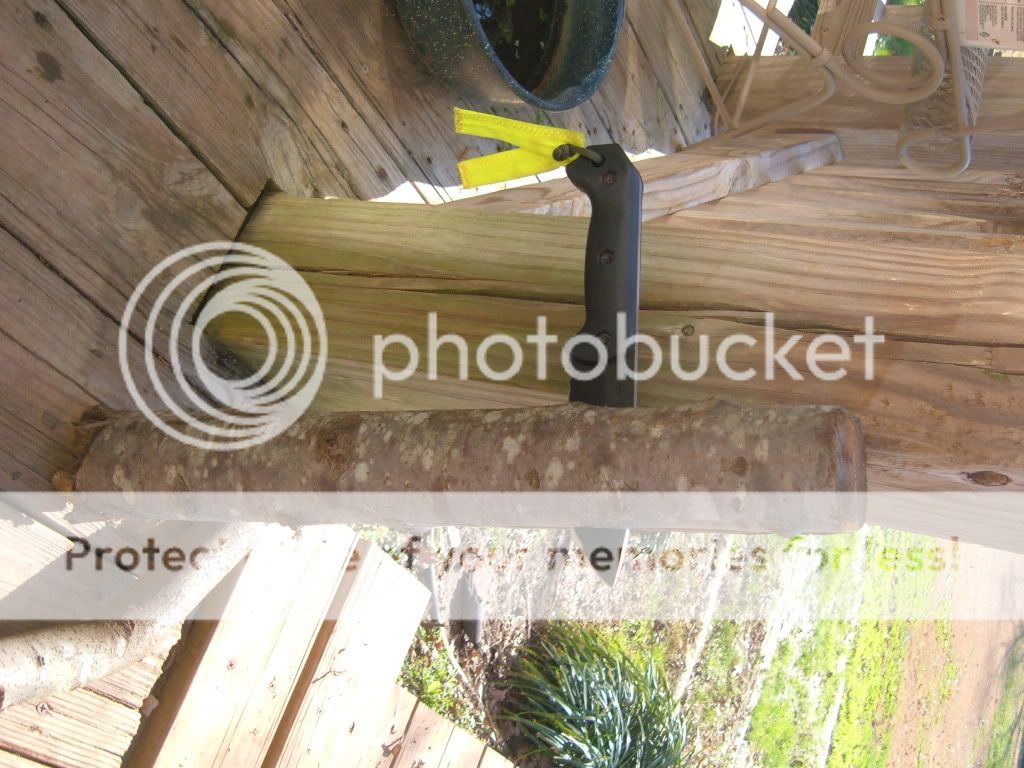 DSCF2672.jpg