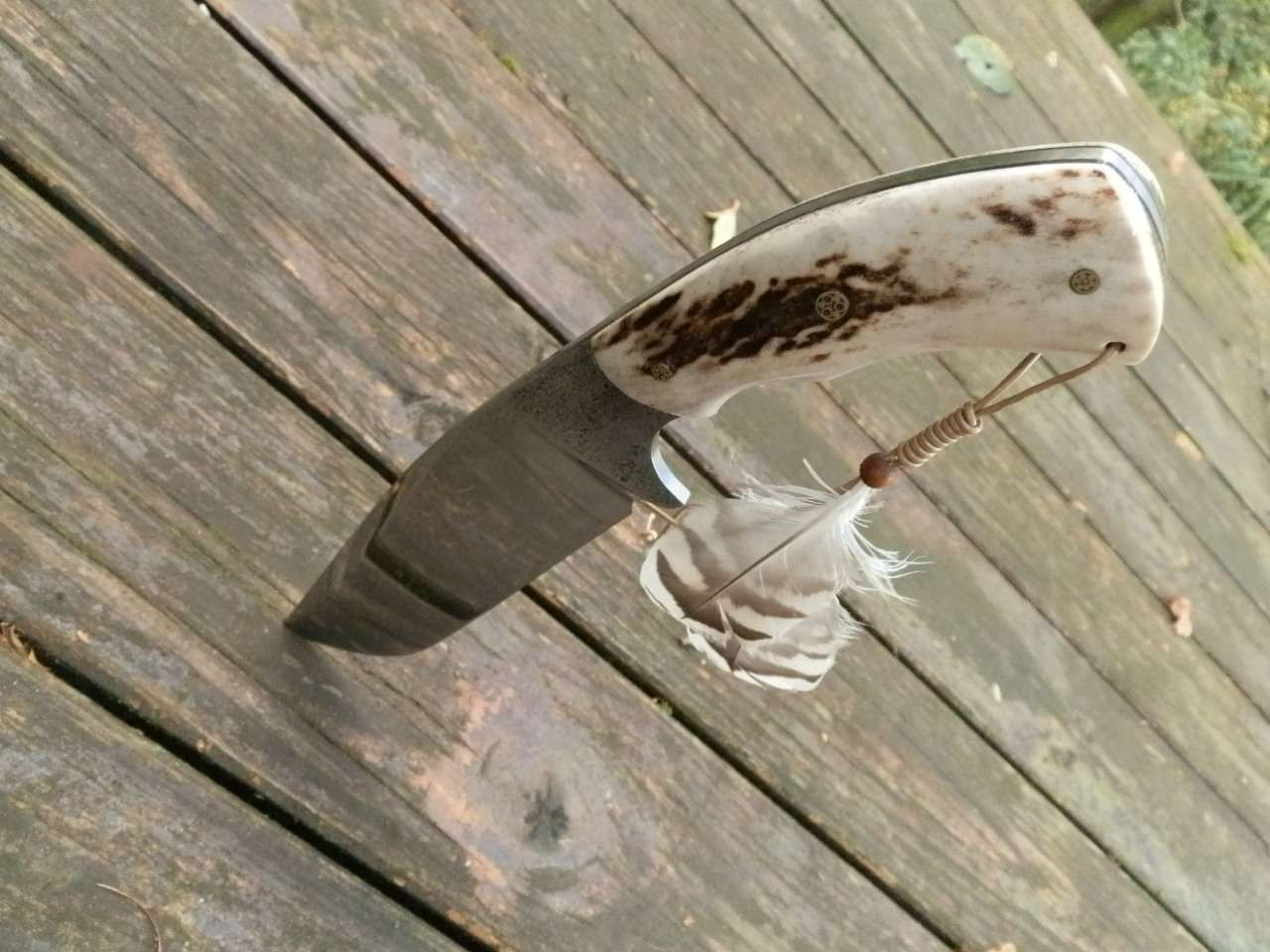 pa093582.jpg