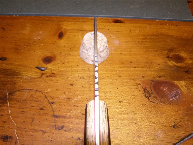 P1010081Medium.jpg