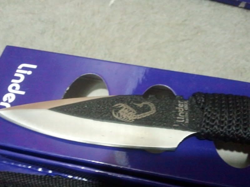 2011-10-10082654.jpg