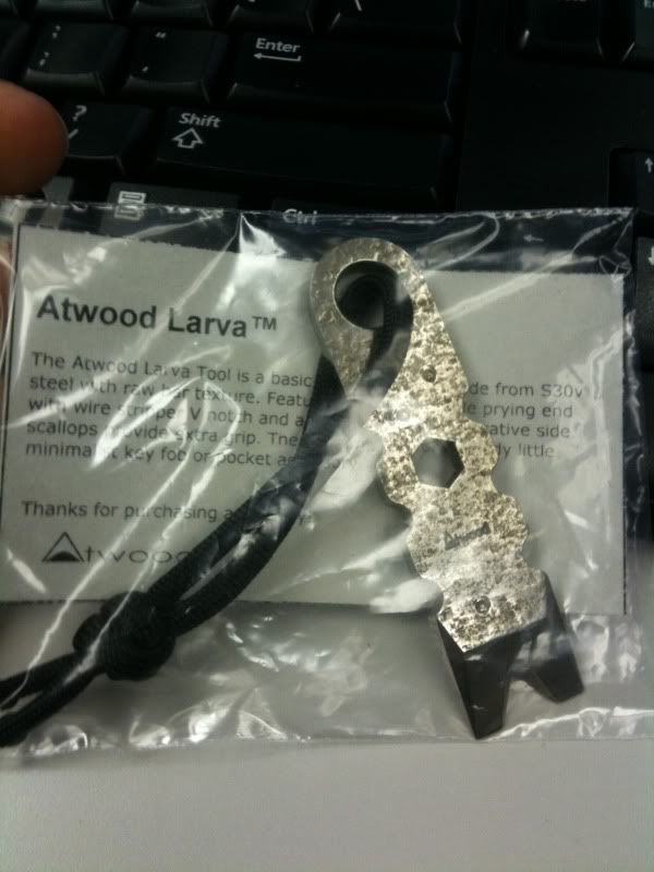 larva001.jpg