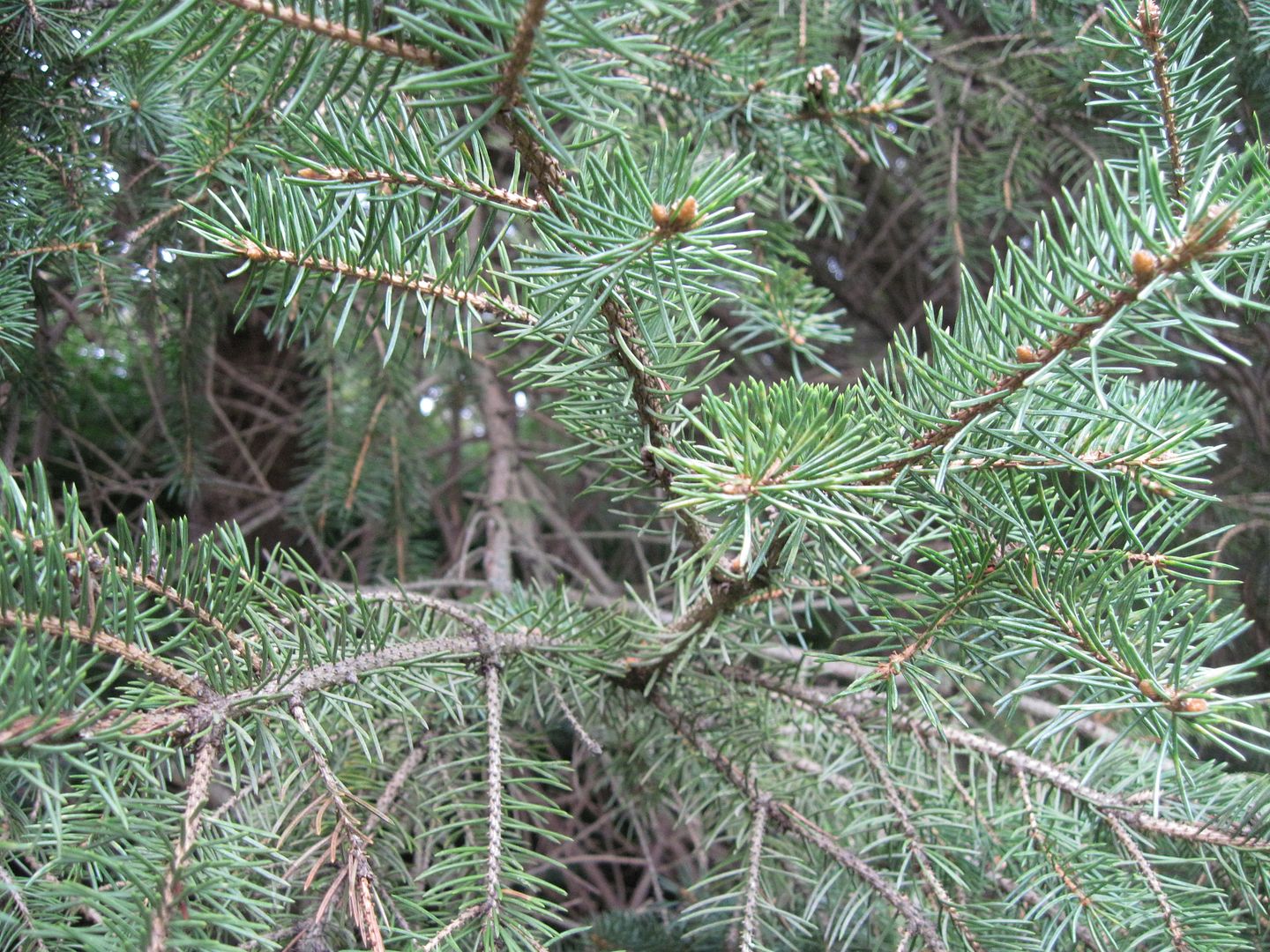 IMG_0395.jpg