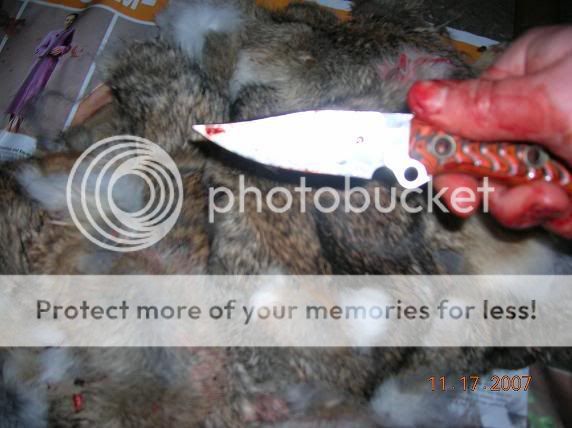 knife1.jpg