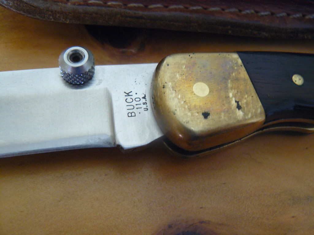 P1050166.jpg