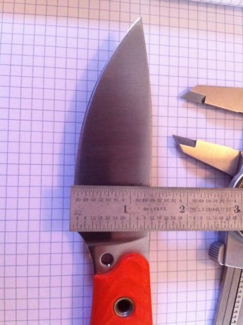 image-16.jpg