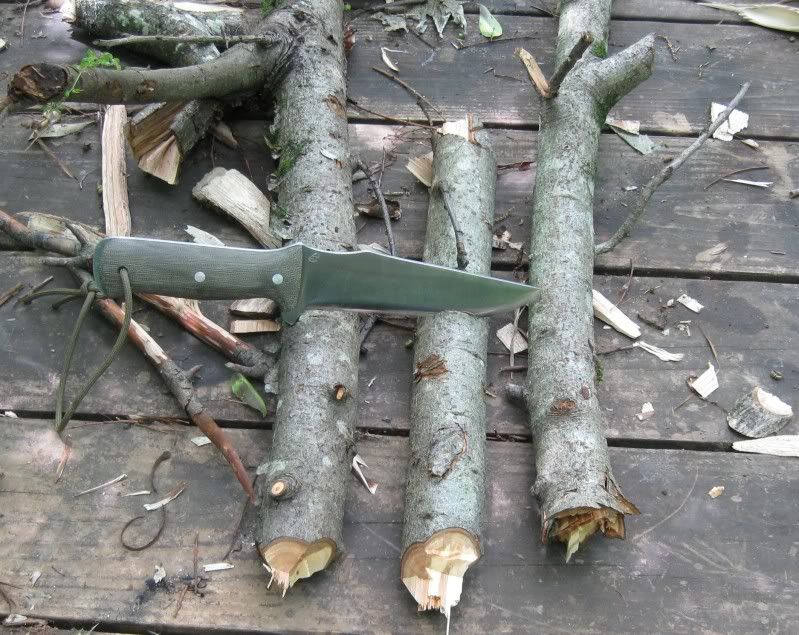ChoppingApplewood.jpg