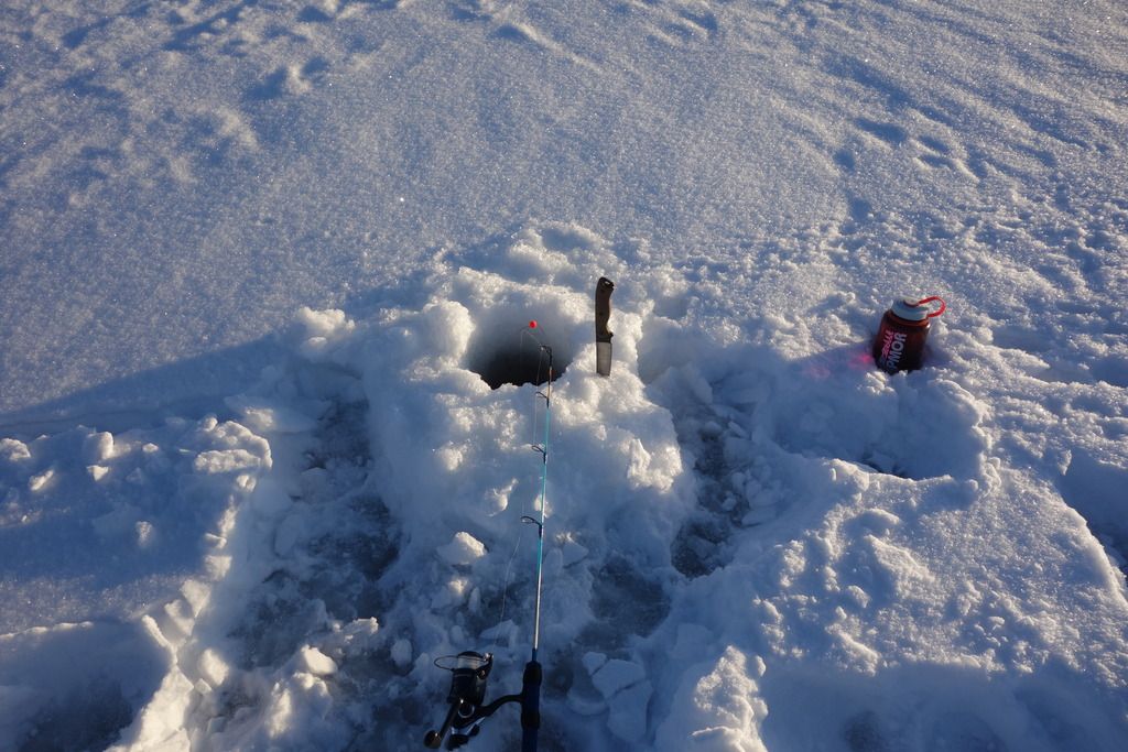 DSC02711_zpsnskldaec.jpg