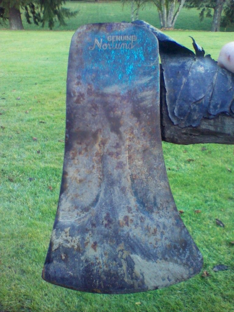 IMG_20120115_152002.jpg