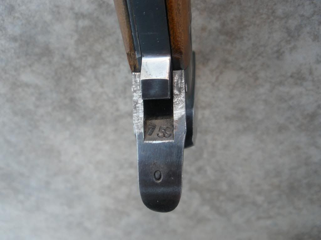 PB251161.jpg