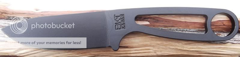 BK14Wood.jpg