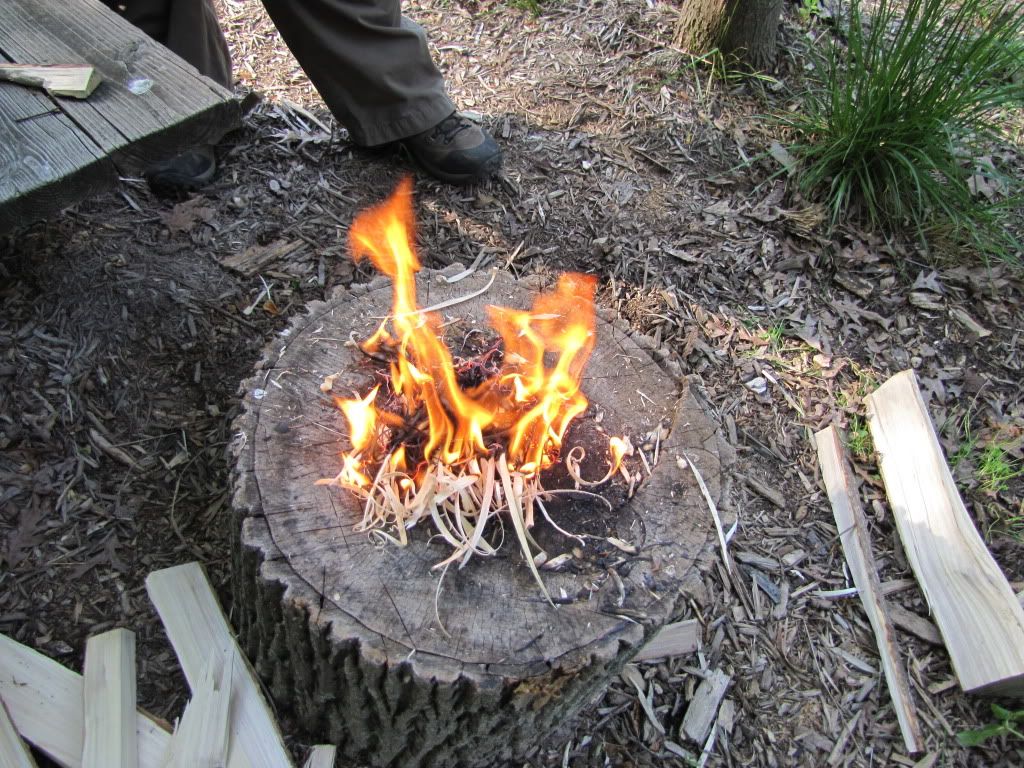 pic9.jpg
