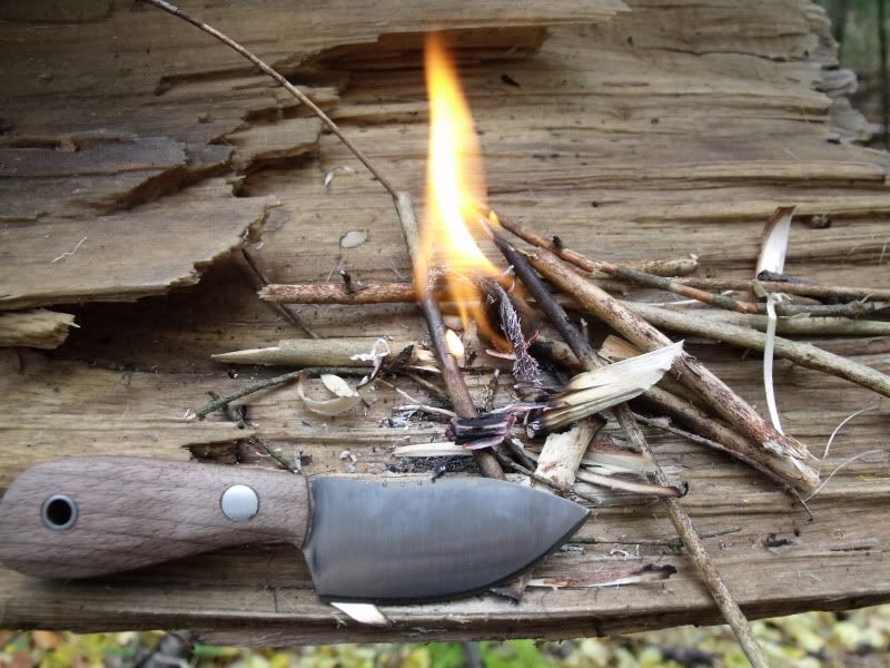 FirekitandKolapore011.jpg