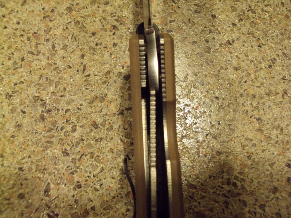 63543004.jpg