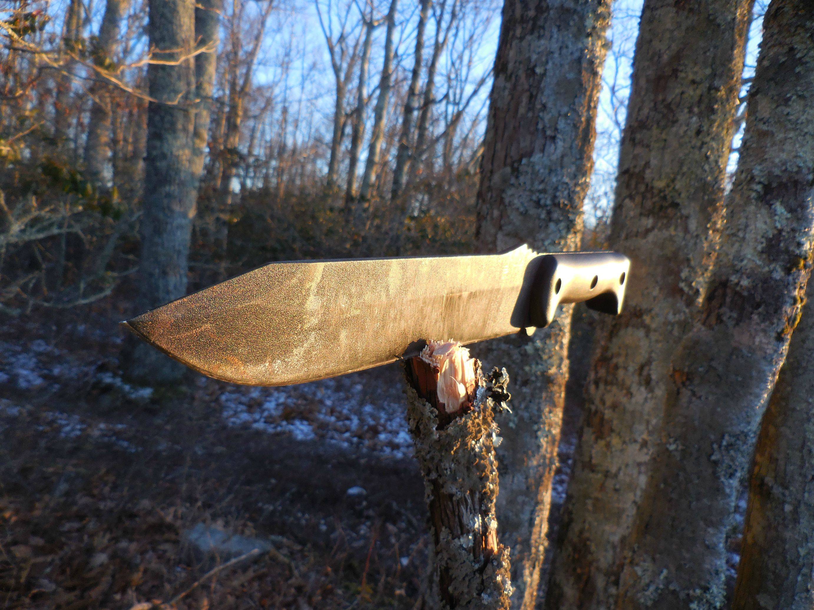 3k8t92W.jpg