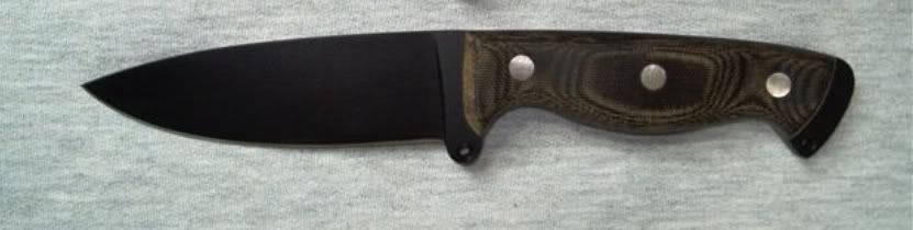 Busse-SHBA_left1b.jpg