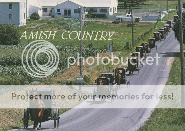 Amish_Country2.jpg