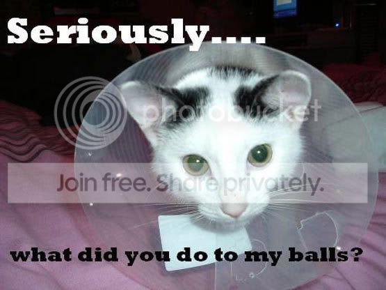 seriously_my_balls.jpg