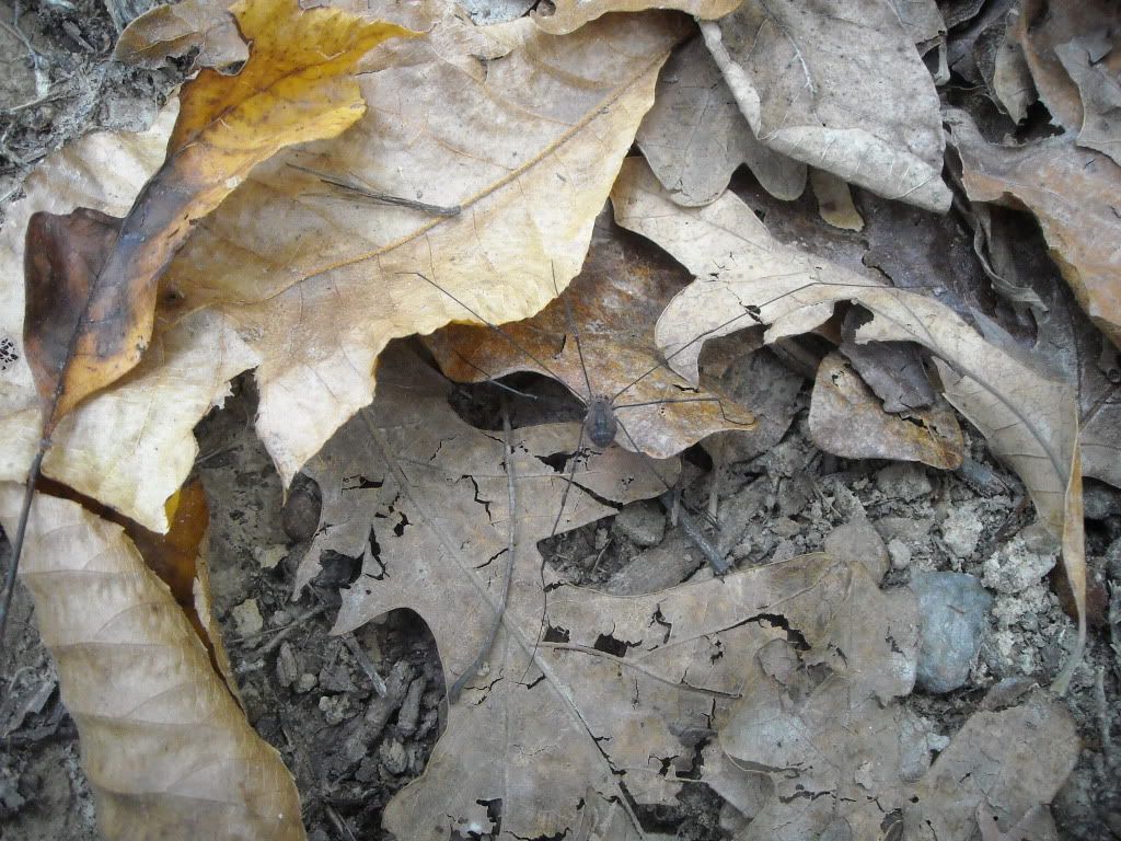 DSCN1216.jpg
