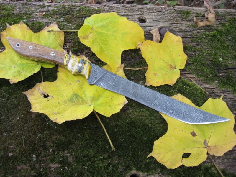 elvinspeedfighter4.jpg