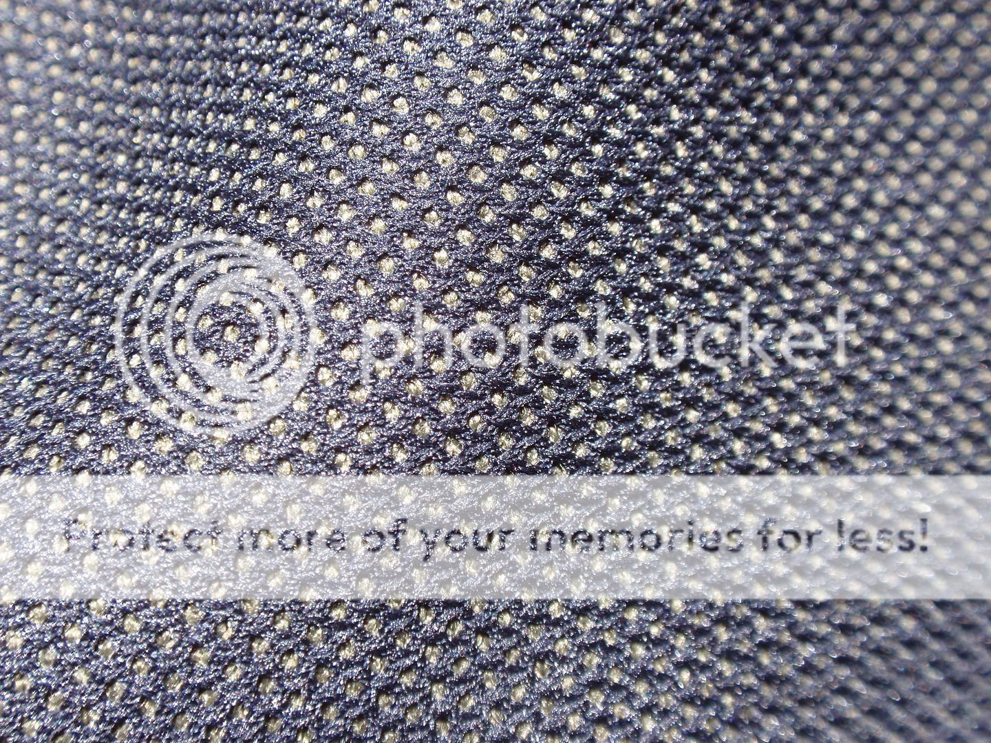 P5070272.jpg