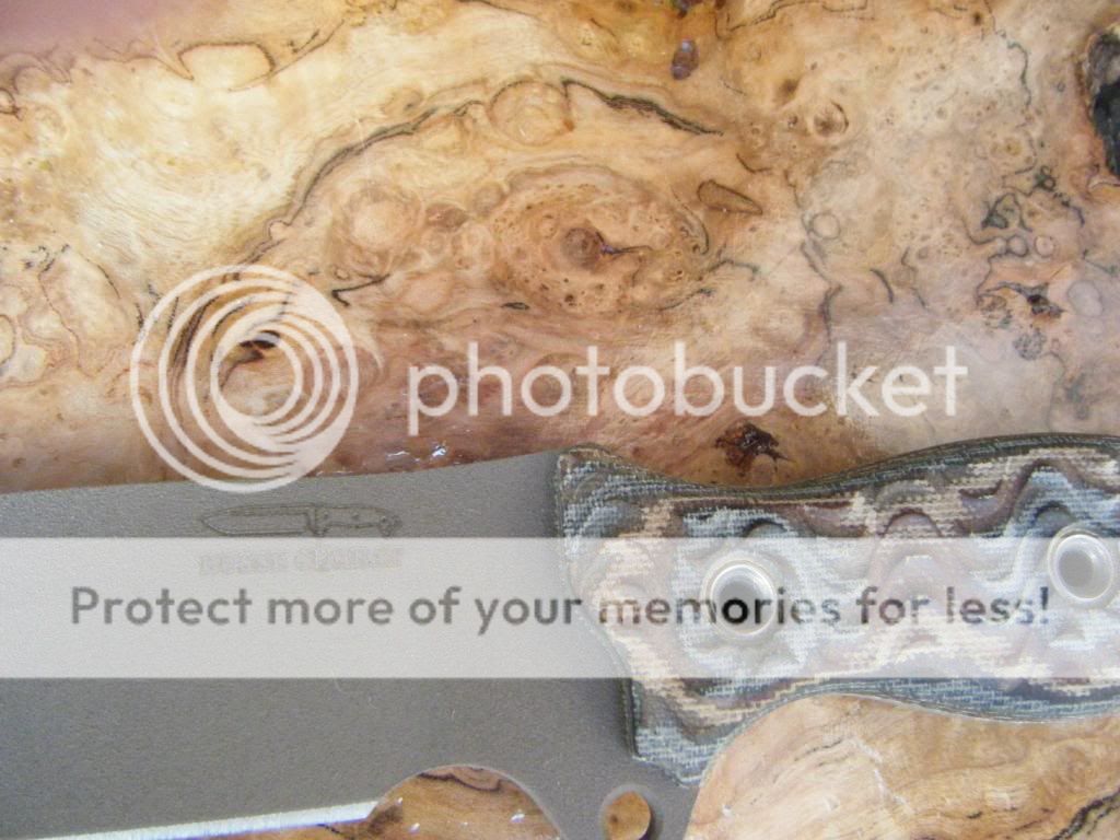 burl021.jpg