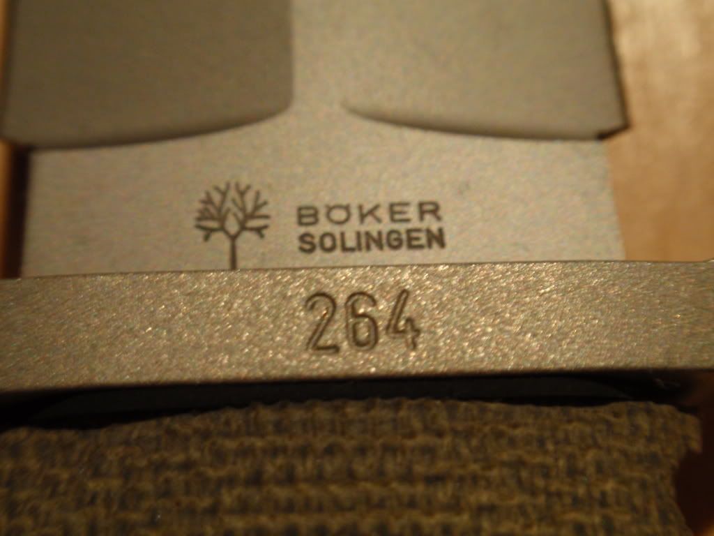 P2060011.jpg
