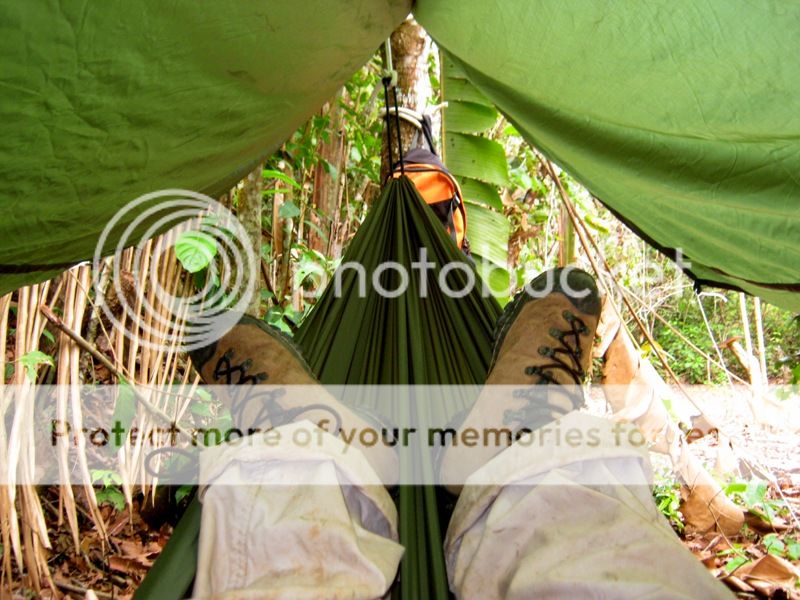 IMG_0935_zpsa0f6edb4.jpg