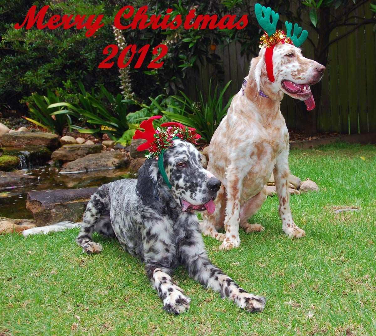 Christmas2012Final_zpsdf3d4dfd.jpg