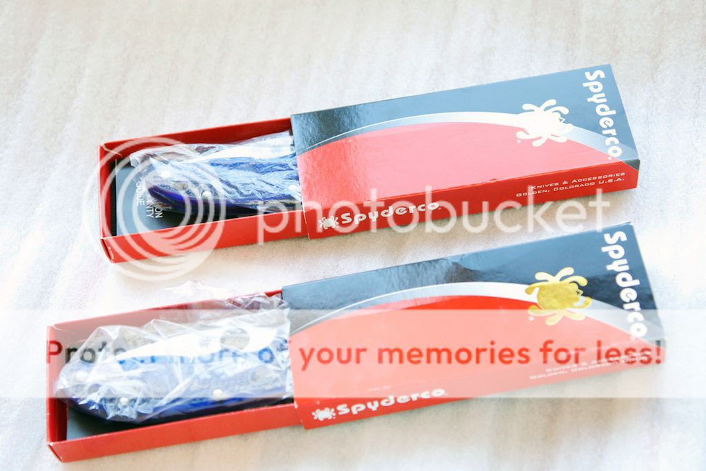 IMG_5311_Manix2BlueTrans_zps04f9e3d8.jpg