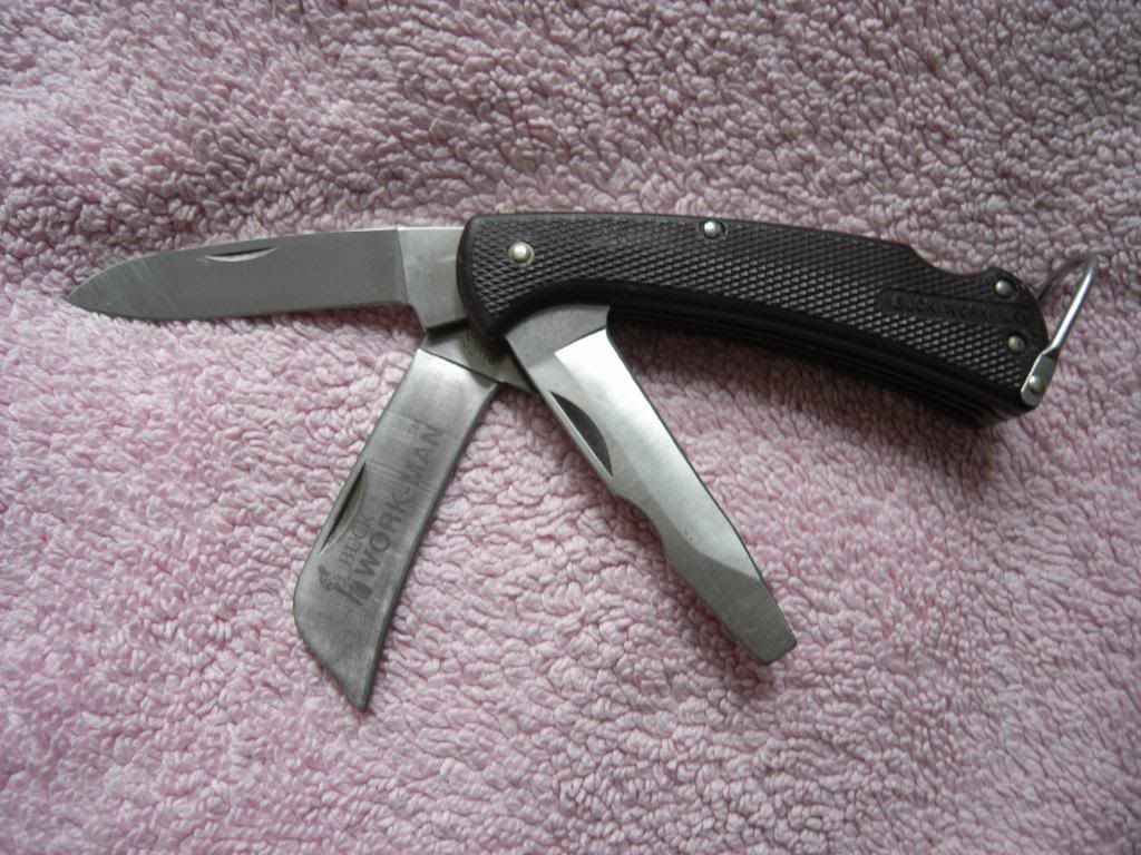 Buck813_zpsadf30ce2.jpg