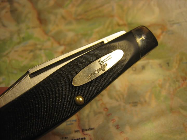 Buck307-4.jpg