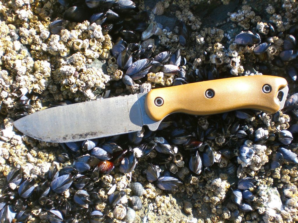 CIMG2782.jpg