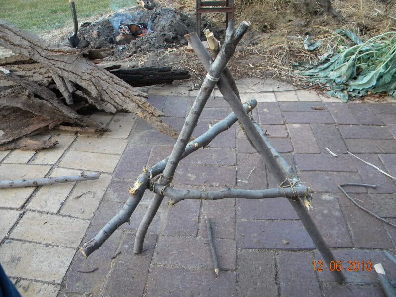 DSCN3140.jpg