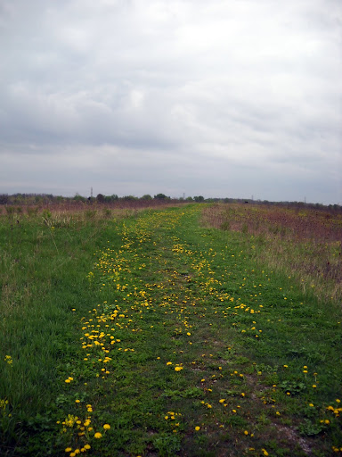 DSCN0210.JPG