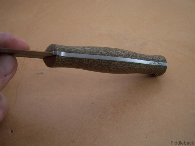 ej102_1519-vi.jpg