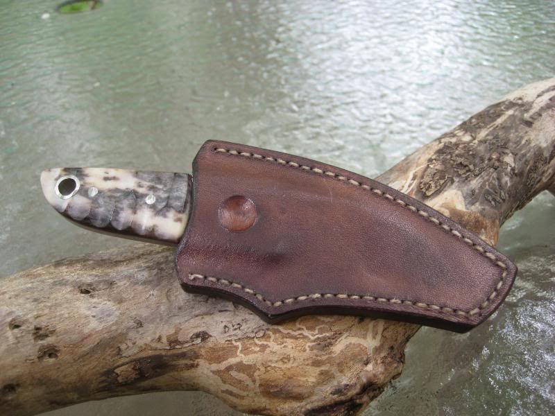 sheepsfoot004.jpg
