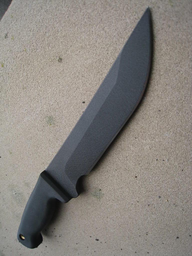 Picture308.jpg