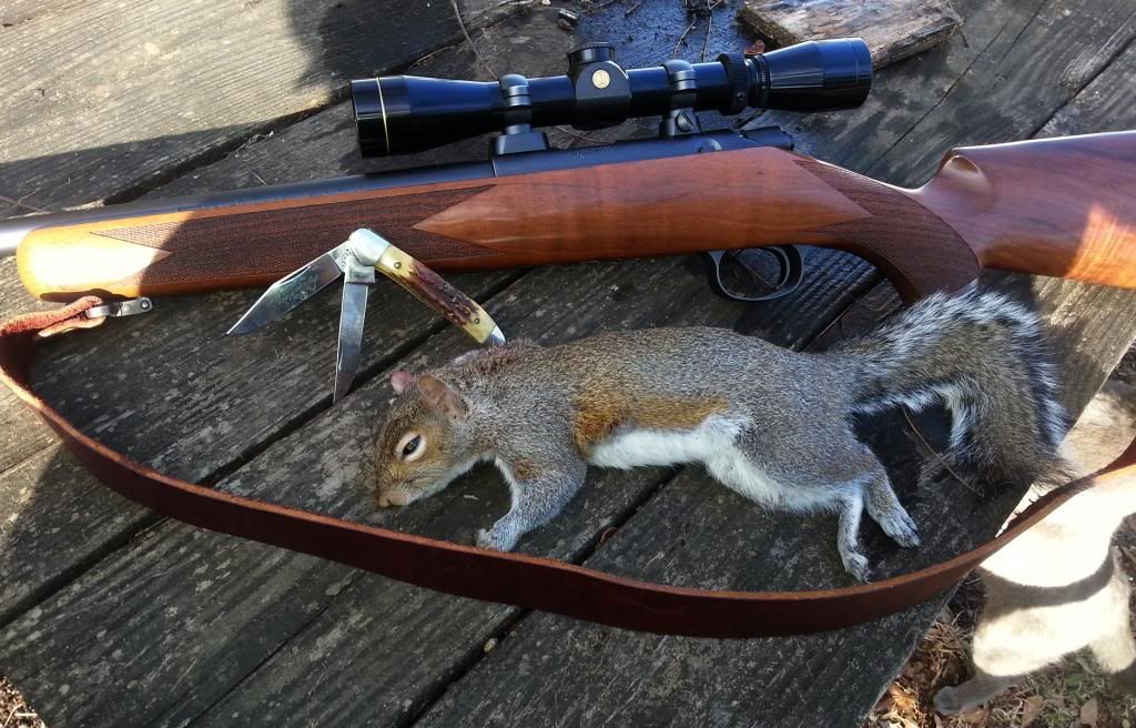 Squirrel19of2013-2014.jpg