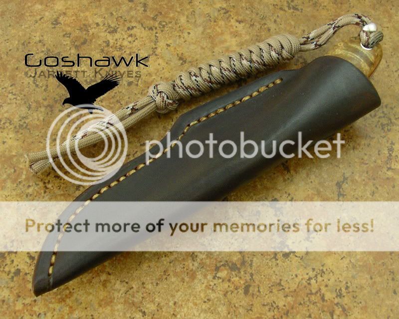 800BFGoshawkSheathwithImage.jpg