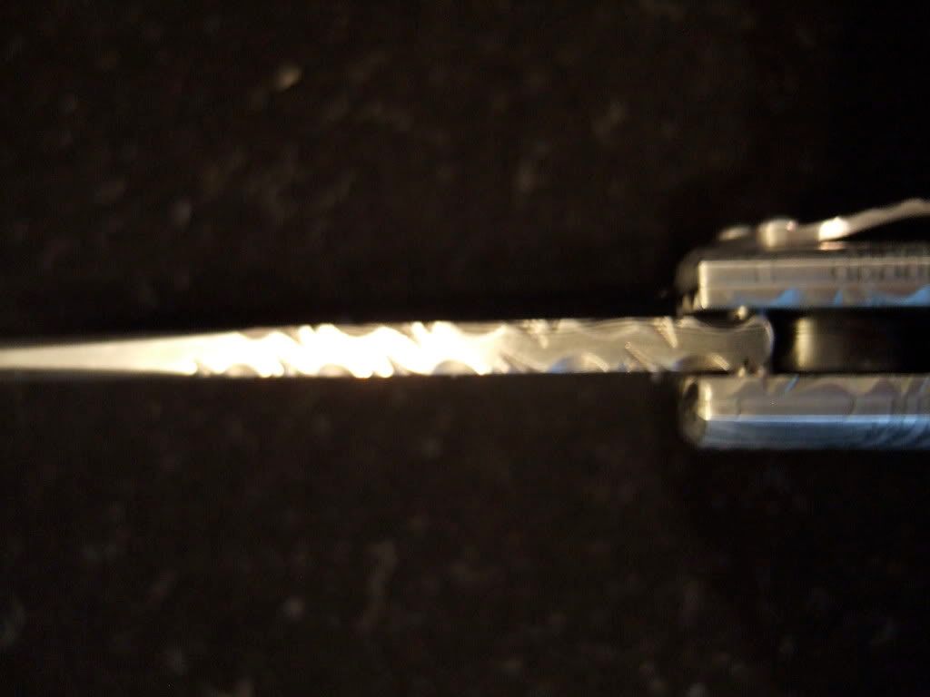 DSCF7425.jpg