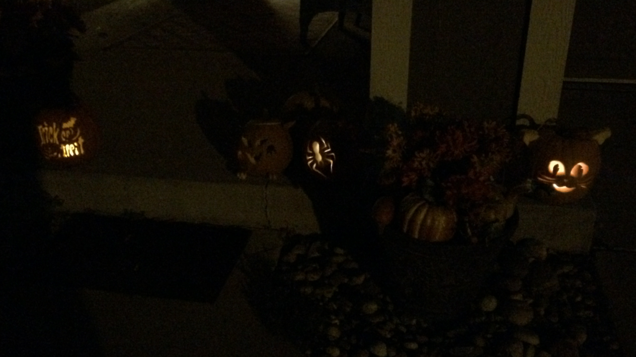 IMG_2665_zps8087a492.png