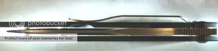 63004.jpg