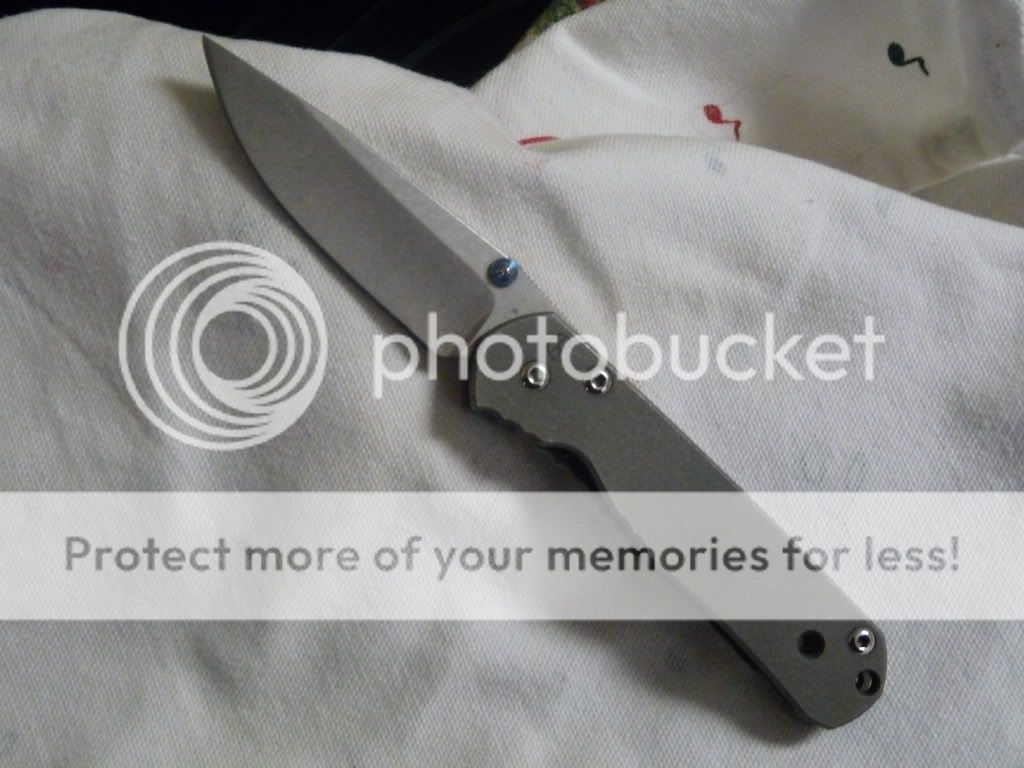 sebenza.jpg