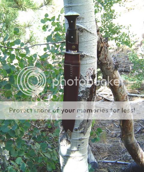 GiantChitlangiBowie06.jpg