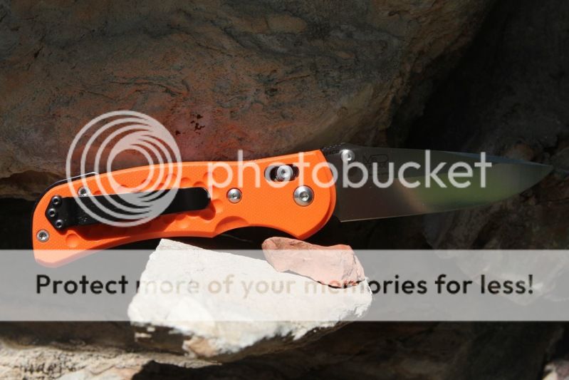Image3-16.jpg