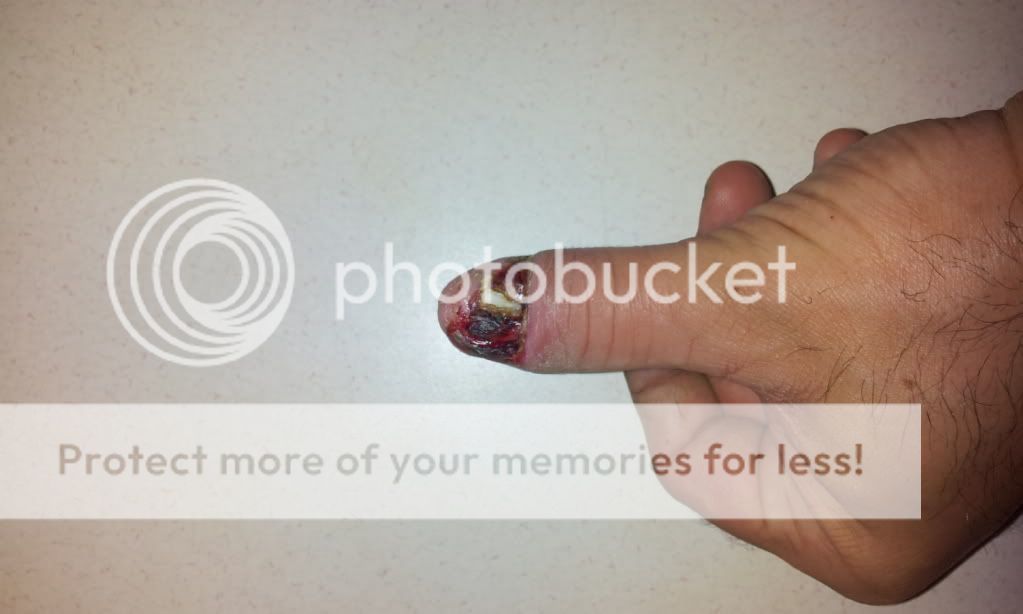 2012-12-09184405.jpg