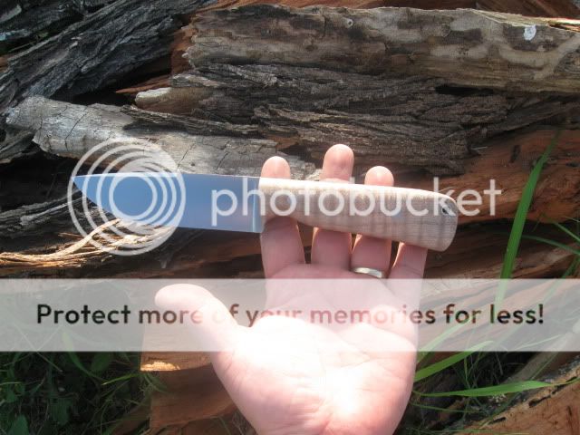 Picture093.jpg