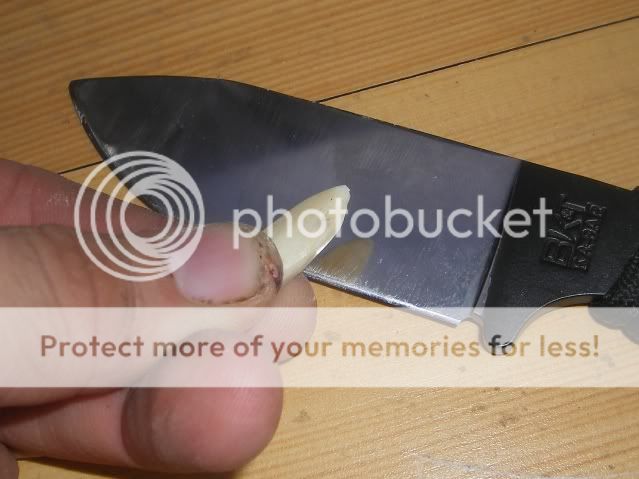 atlatlbecker007.jpg