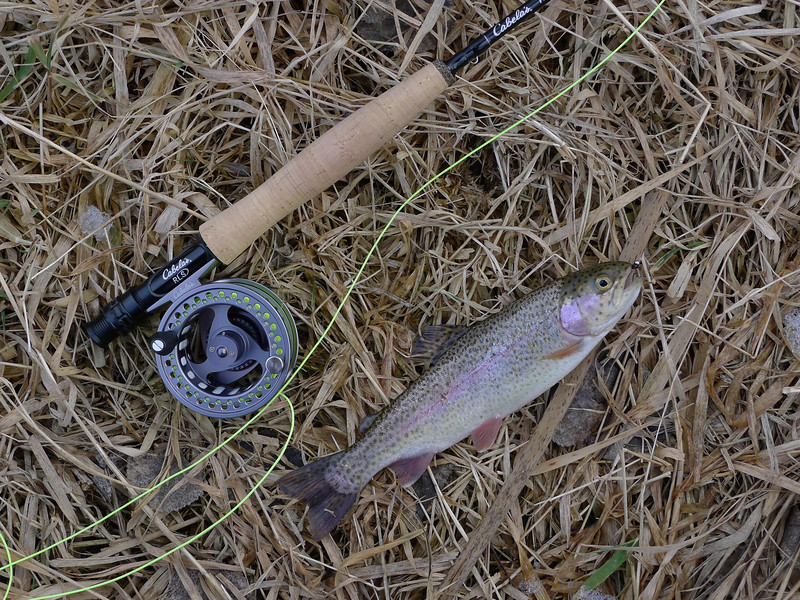 P1060169-L.jpg